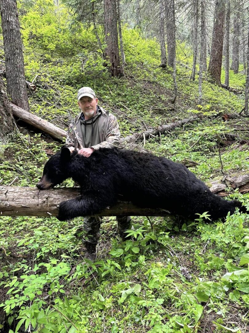 A man standing next to a black bear on a tree.